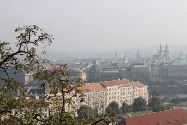 photo11.jpg