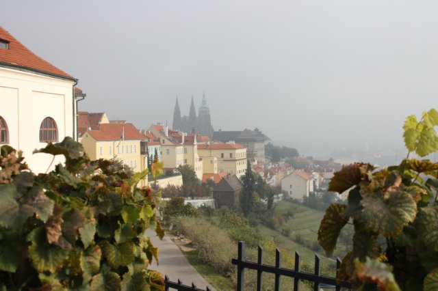 photo8.jpg
