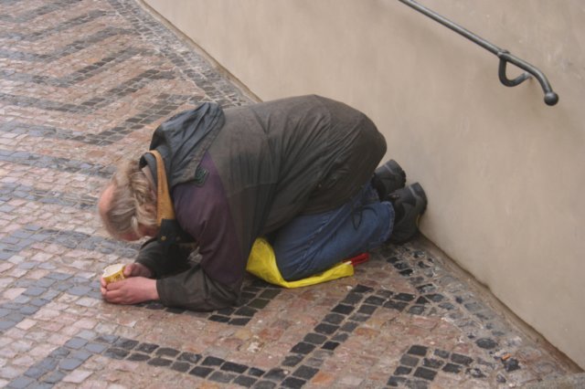 photo13.jpg
